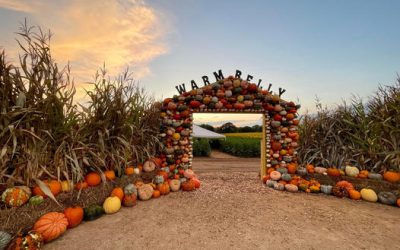 Channel 3000: In the 608: Fall fun at Warm Belly Farms & Garden Center
