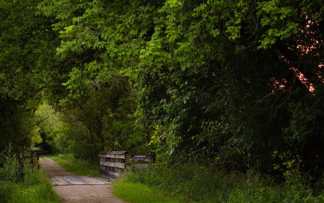 Make it a Great Day on the Glacial Drumlin Trail